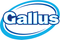 Gallus